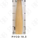 Русо 10.3