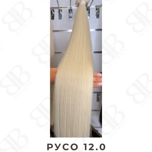 Русо 12.0